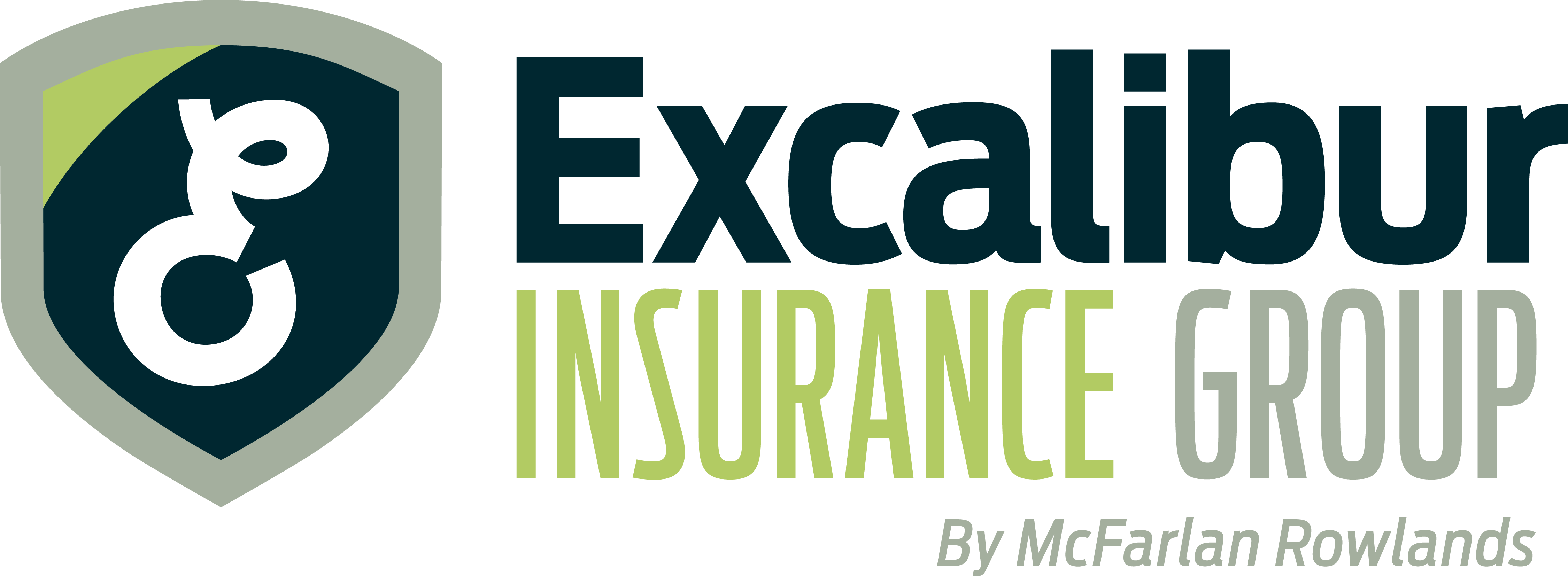 Excalibur Insurance Group