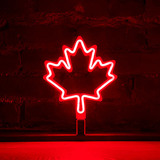 Maple Leaf by MOSS LED